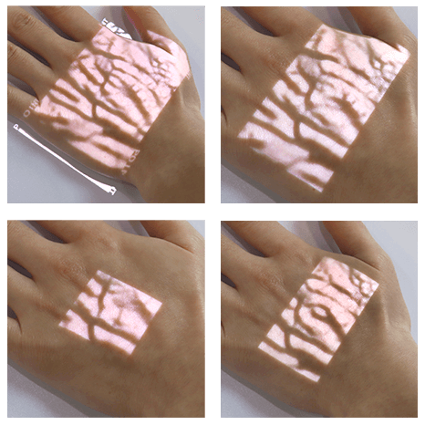 Vein Image Size four